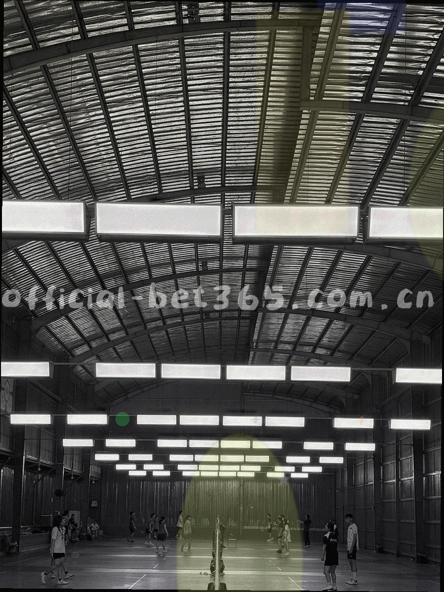 移动端关注列表的抽象示意图：纵向排列的列表线条与分组标记，深墨绿背景