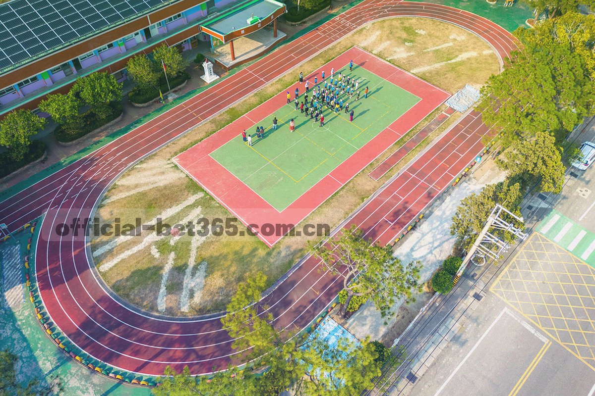 俯拍视角下球场边线与看台交界的几何区域，冷调光线，画面中空无一人